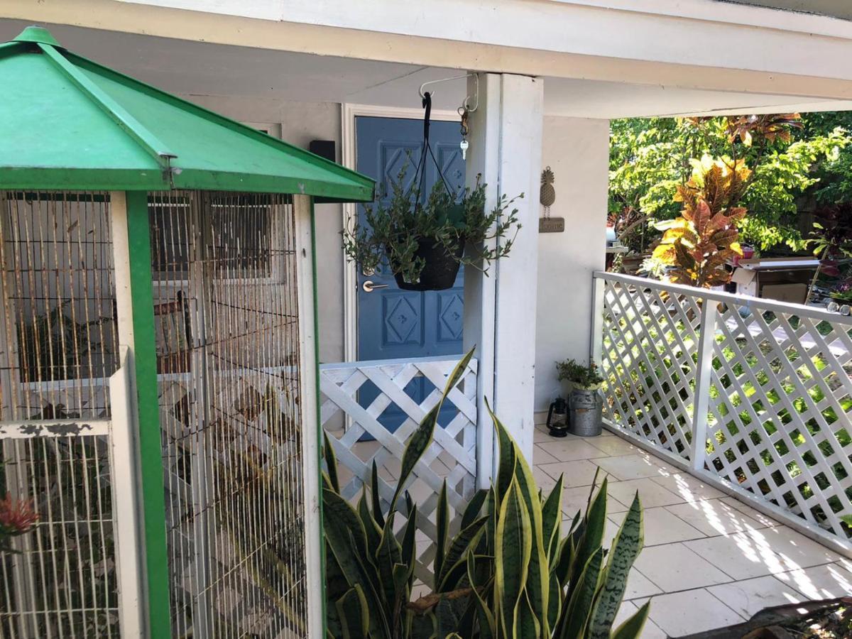 Independent Studio In Little Havana Маями Екстериор снимка