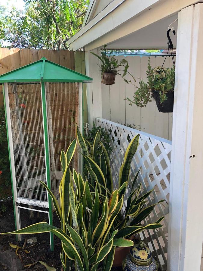 Independent Studio In Little Havana Маями Екстериор снимка