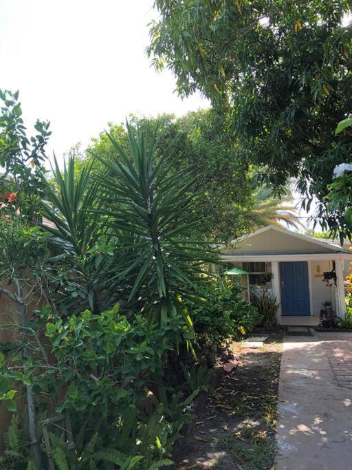 Independent Studio In Little Havana Маями Екстериор снимка